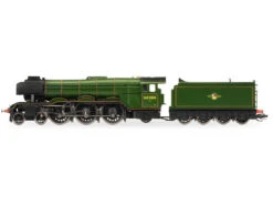 Hornby TT3006M Dampflok Class A3 60084 Trigo BR Spur TT