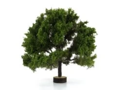 Modellbahn Union TT-L00236 TT Baum Eiche 14-16cm